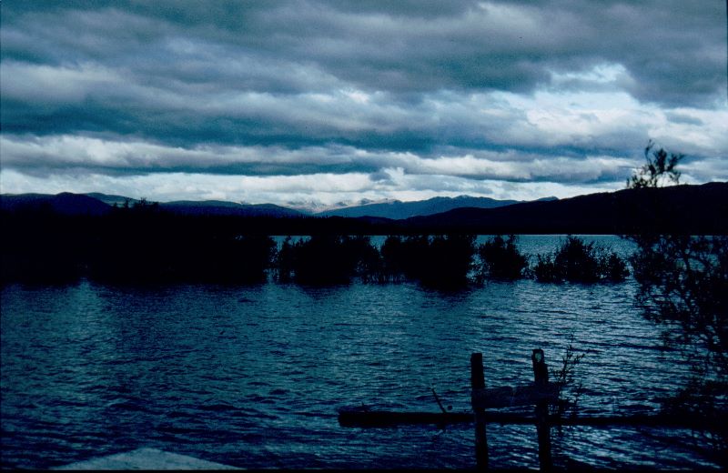 ../Images/016Lower Labarge Creek.jpg